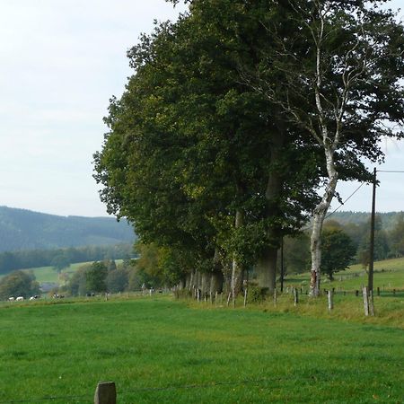 Le Fournil Gite Rural Trois-Ponts Exteriör bild