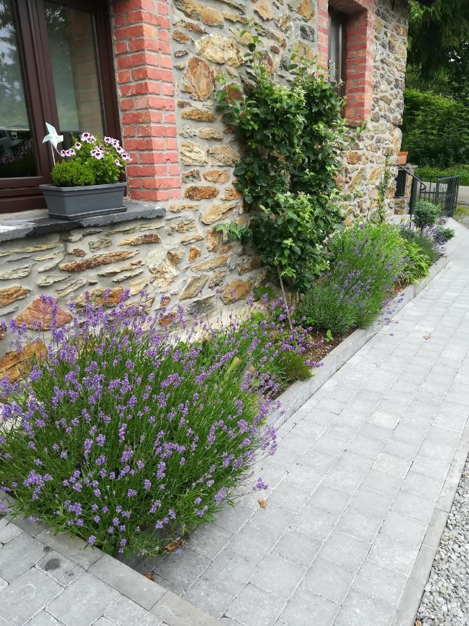Le Fournil Gite Rural Trois-Ponts Exteriör bild