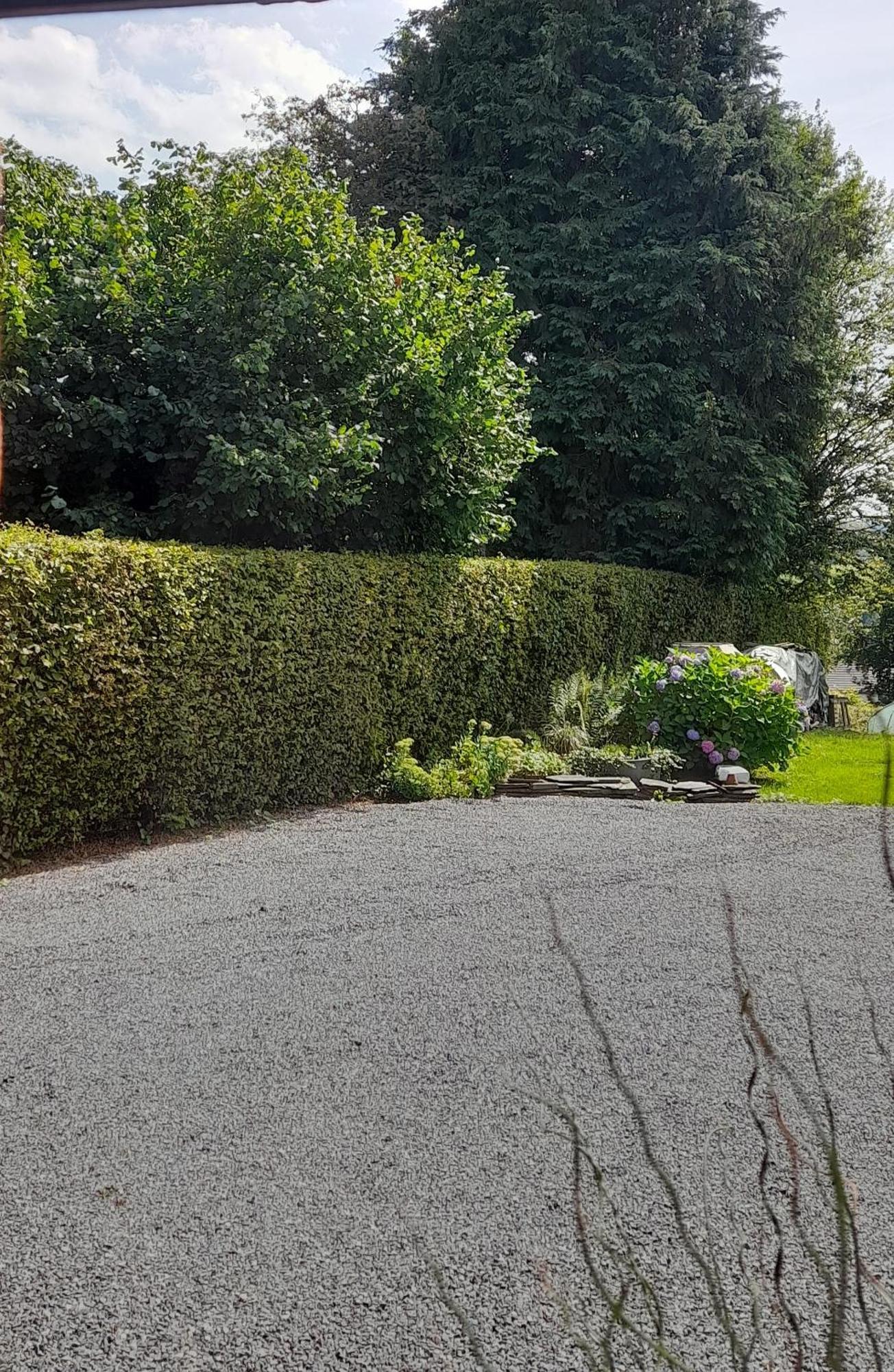 Le Fournil Gite Rural Trois-Ponts Exteriör bild